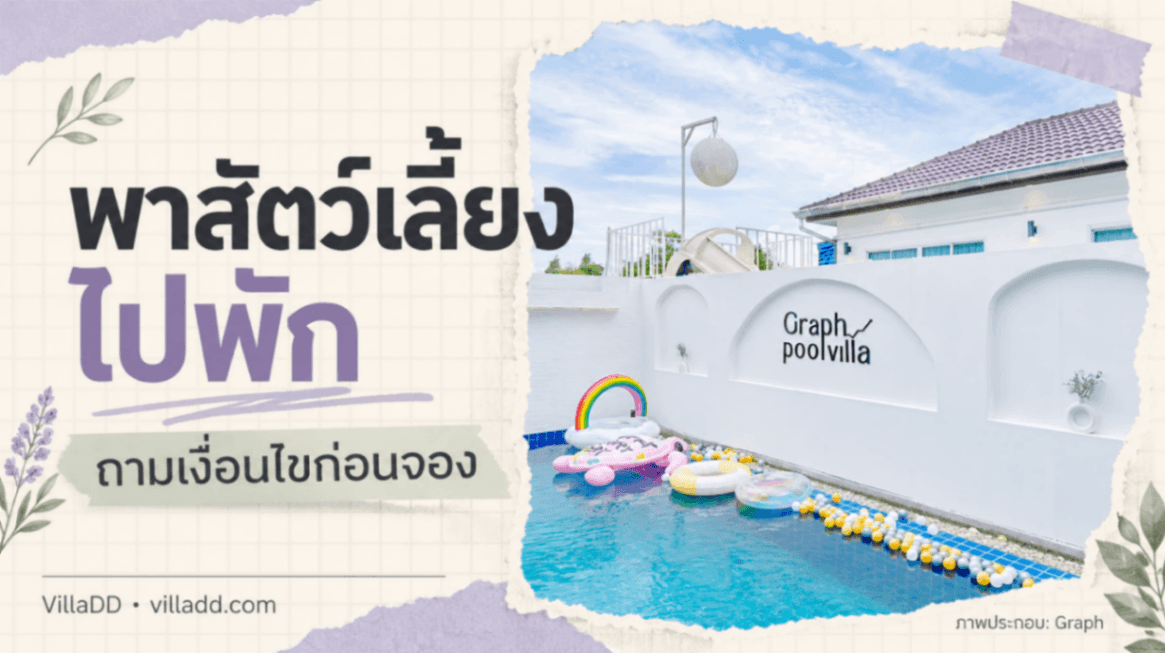 พาสัตว์เลี้ยงไปพูลวิลล่า ต้องถามอะไรให้ชัดก่อนจอง